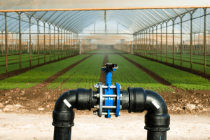 systeme irrigation eau dans une serre