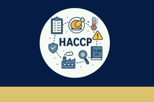 infographie qui résume une formation haccp alimentaire