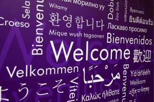 mots en différentes langues sur fond violet