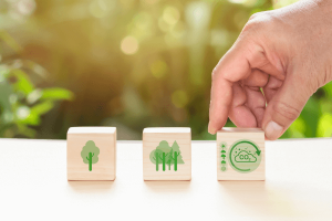 main bougeant des blocs en bois représentants le sme iso 14001