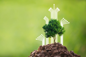arbre et technologie pour symboliser la rse 26000